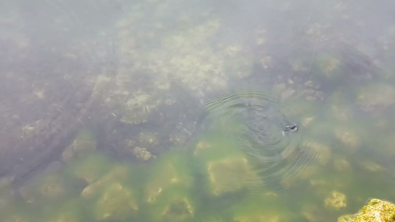Got in bass fishing enjoying the windy (Day 4)