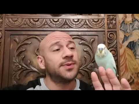 مكى أول كلمة يقولها خورشيد