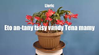 Anao Sinitry Avao - Tanora Masina Itaosy Karaoké