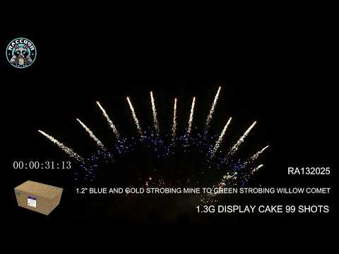 1.2″ video preview