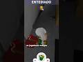 Alerta de Golpe no Bloxburg #roblox #memeblox #jazzguitar #memesroblox #jazzinstrument #edit #memes