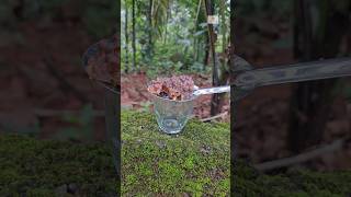 Stingless honeybees | ചെറുതേൻ എടുക്കുന്നത് കാണാം beekeeping honey  satisfying experiment shorts