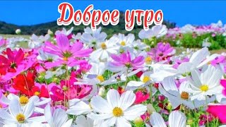 Доброе утро. Храни тебя рука Творца.Красивая песня..А годы летят.