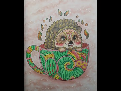 Video thumbnail: Hedgehog