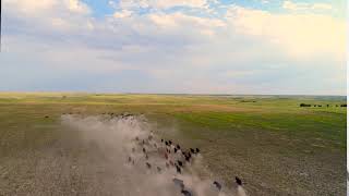 2018 Nebraska.Gov Video 3