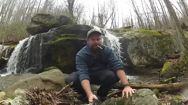 AppleOrchardFall...