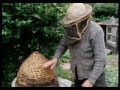 Hands of bees  bee skeps