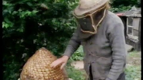 Hands: Of Bees & Bee Skeps