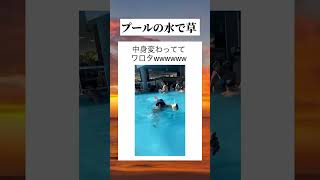 おいしいプール水 #tiktok #tiktokvideo #youtube #shorts #youtubeshorts #おすすめ #おもしろ #面白い #プール #夏休み #夏 #飲み物 #草