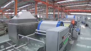 Colead vegetable and fruit processing line