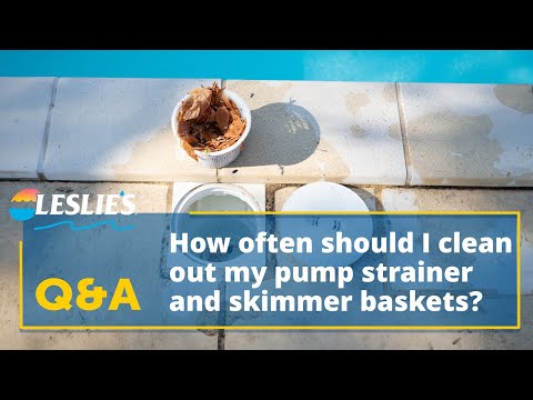 Q&A: How Often Should I Clean Out My Pump Strainer and Skimmer Baskets? | Leslie's
