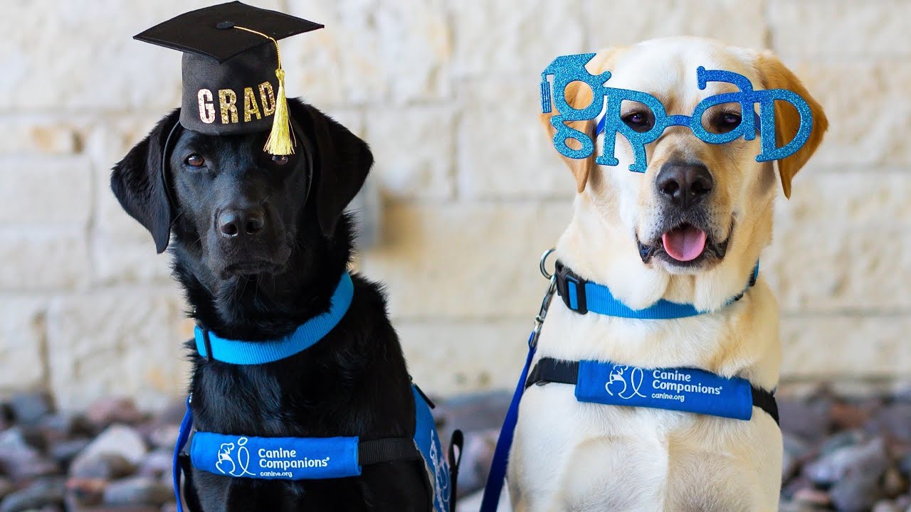 Canine Companions Graduations - Canine Companions