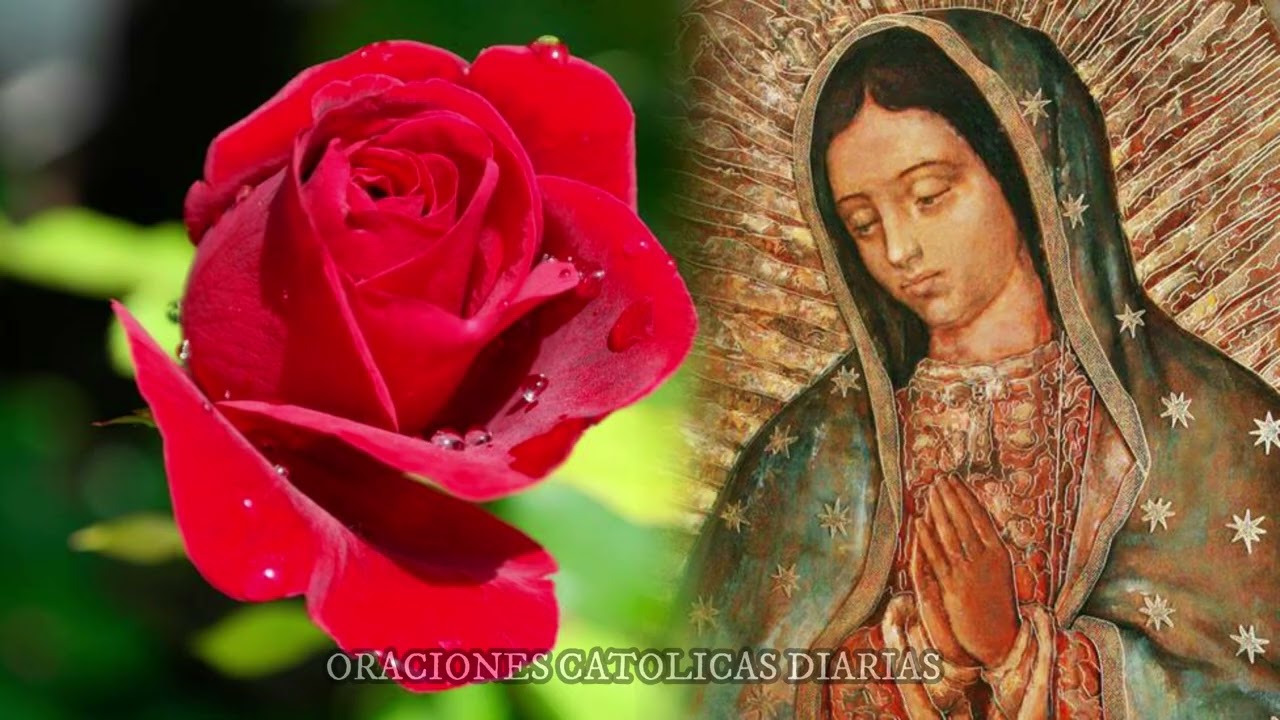 Santo Rosario de hoy Viernes 16 de Enero 2026 Misterios Dolorosos ( Santo Rosario Corto)