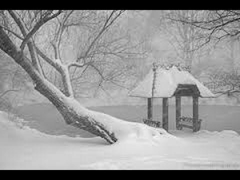 Bad Snow Storm Bad Snow Storm