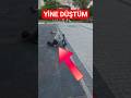 YİNE DÜŞTÜM 😭 #scooter #park #kids #channel #baby
