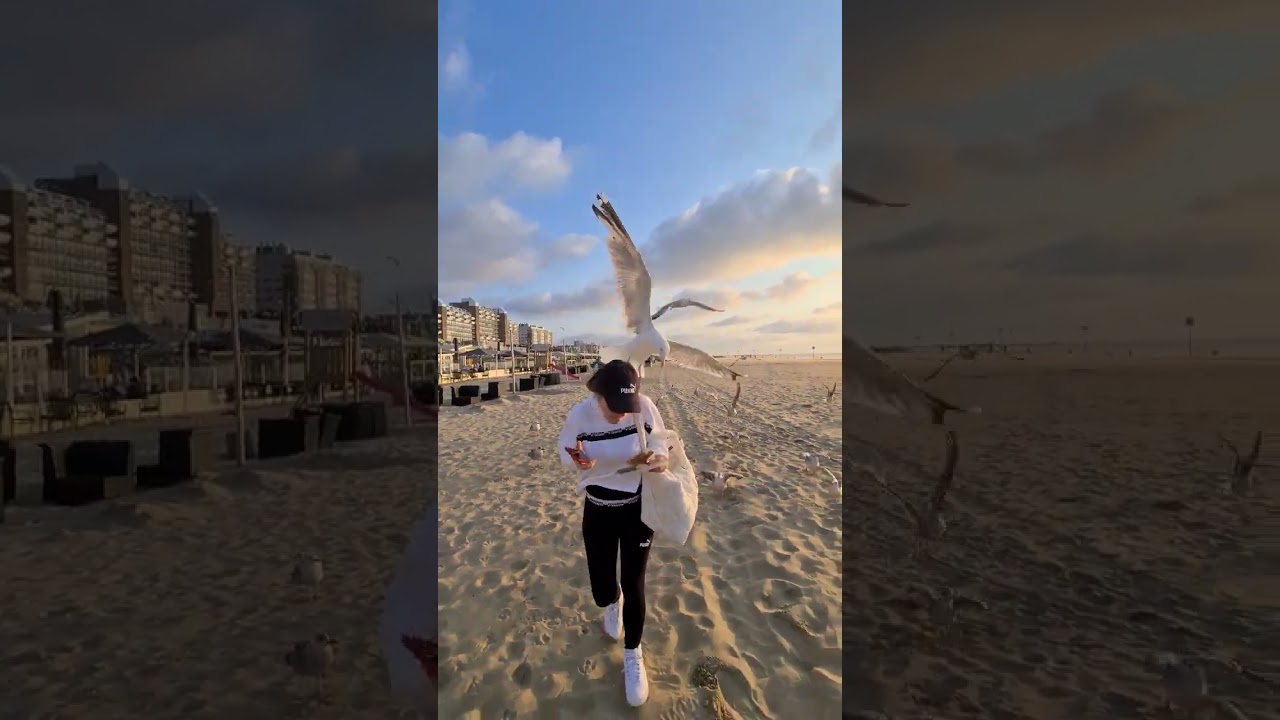 scheveningen, netherlands...