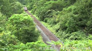 2014年8月21日(木)今日の特急「オホーツク1号」11Dキハ183系 網走行