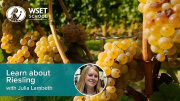 Learn about Riesling with Julia Lambeth DipWSET