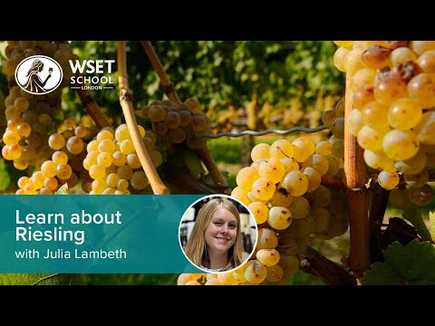 Learn about Riesling with Julia Lambeth DipWSET