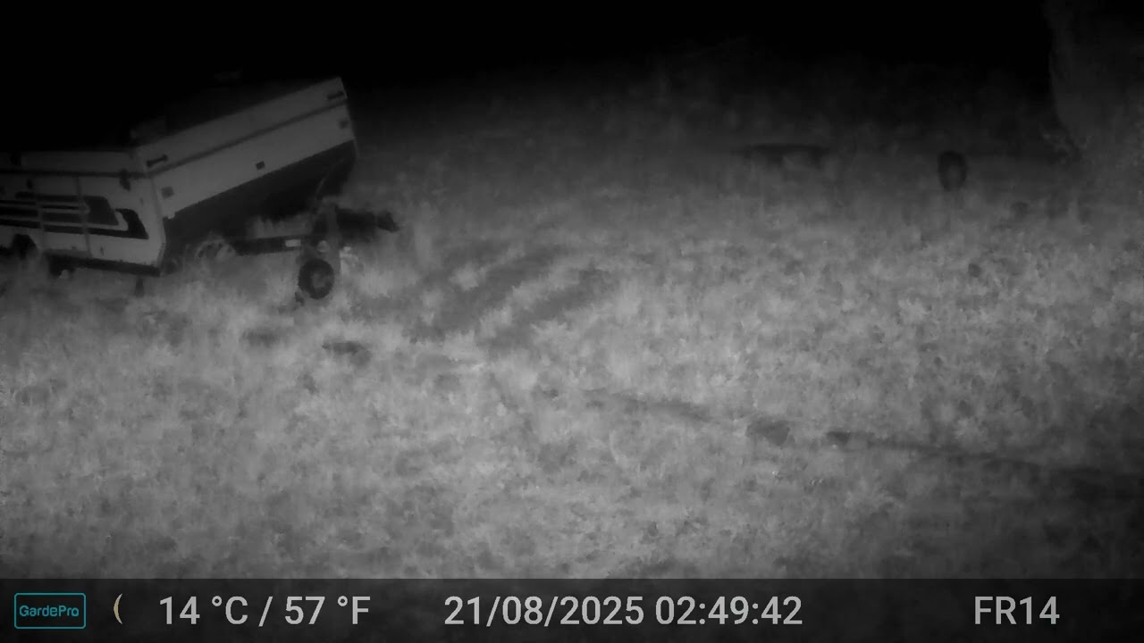 Badger Video Only Edit GardePro A3 Trail Camera 2 of 12 FR14 Côtes d'Armor, Brittany, France