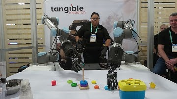Robotics at CES 2020  - Tangible Research