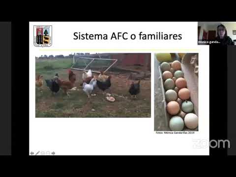 Vídeo: Nutrición Y Metabolismo En Aves De Corral: Papel De Los Lípidos En La Dieta Temprana