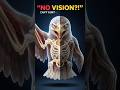What If an Eagle Lost Its Eyesight? 😱🦅 #facts