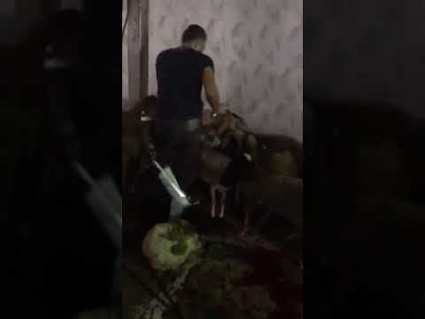 ابن الريس بدير مشرف نفسه في اي مكان