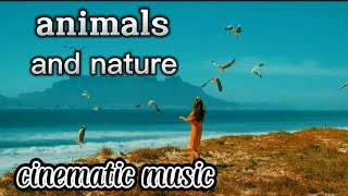Animals and forest ‼️ cinematic music relaxation ‼️ no copyright ‼️ DUNIA BINATANG
