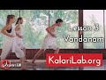 Online kalaripayattu training by kalarilaborg  lesson 3 first foundations