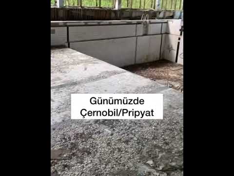 Video: Pripyatın Oyun STALKER çağırışında Bir Vaha Tapmaq Harada