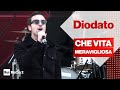 DIODATO dal vivo a Radio2 Social Club Sanremo 2020 - CHE VITA MERAVIGLIOSA