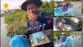 ‼️หว่านแหวันเปิดประตูน้ำ น้ำไหลเบาๆปลาเข้าเพียบครับ😆😆🐟🐟