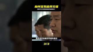 河南林州26歲寶媽只因沉迷麻將最終釀成慘劇 #炊事班的驴 #案件 #探案 #懸案 #懸疑