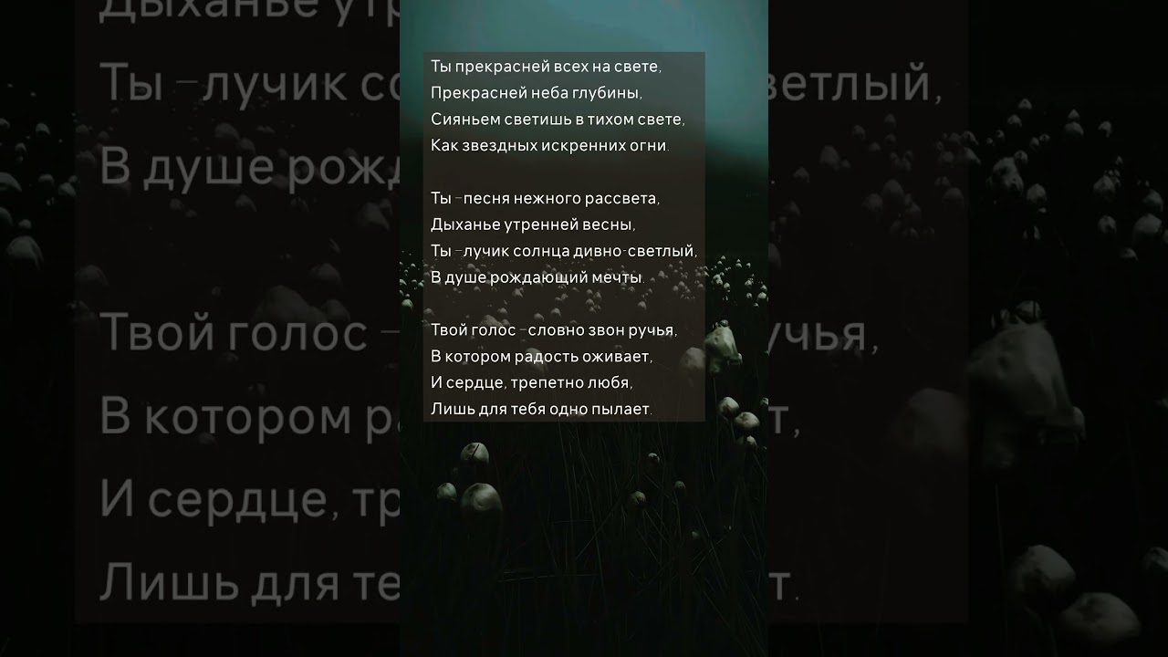 Ты 🕊️ 