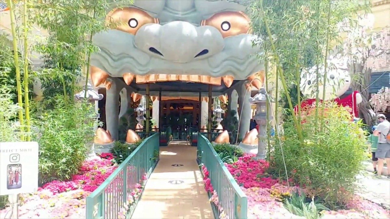 How to Bellagio before midnight masks? YouTube