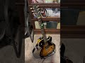 Here’s That Rainy Day Cover #jazz #jazzguitar #wesmontgomery #joepass #barneykessel #chordmelody