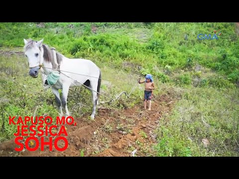 Video: Ano ang ginamit ng mga magsasaka bago ang araro ng bakal?