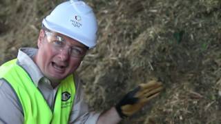 Recycle Right Green Waste Virtual Tour