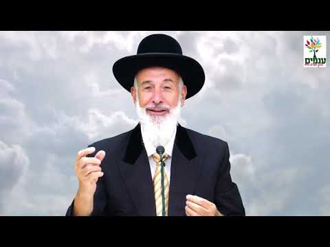 פרשת וישלח - הרב יונה מצגר HD - רעיון מדהים!