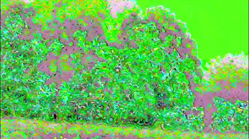 Circuit Bent Camera - Pocket Glitchamatic demo