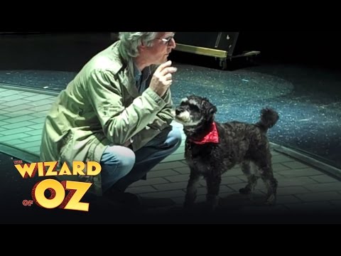 Dangerous Dave in Toto training