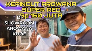 HARGA SUPER RED DI SHOWROOM AROWANA KHOE SEHARGA MOBIL