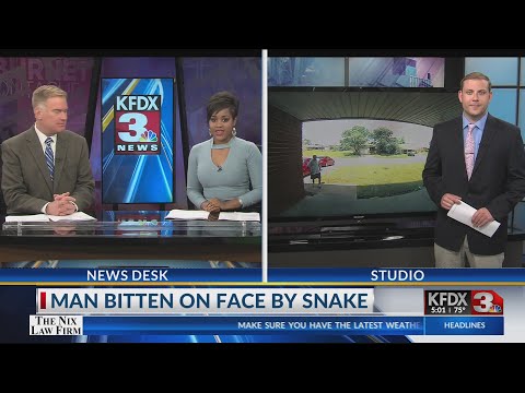 Dude gets bit by snake