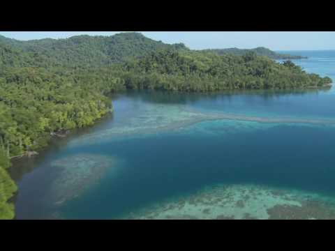 Wild New Britain: Papua New Guinea