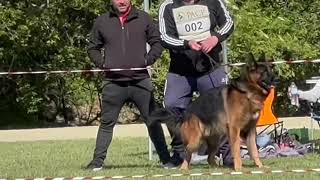 V1 Arlett Team Tierras Charras