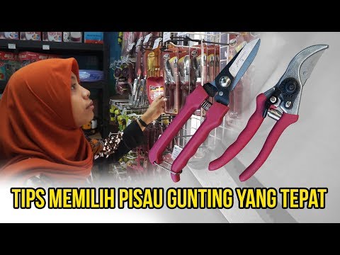 Video: Cara memilih gunting taman. Secateurs taman dan profesional