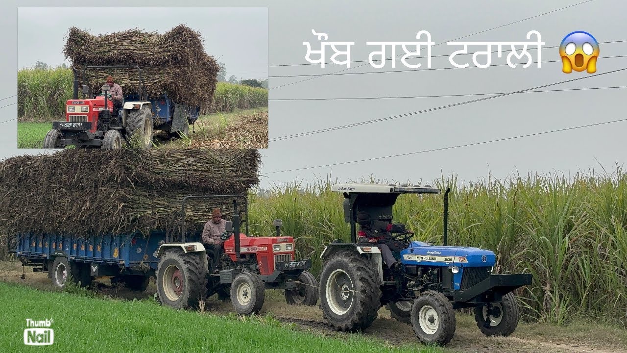 ਖੌਬ ਗਈ ਟਰਾਲੀ 😱 