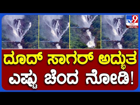 Dood Sagar: ದೂದ್​ ಸಾಗರ್ ಜಲಪಾತದ ವೈಭೋಗಕ್ಕೆ ಪ್ರವಾಸಿಗರು ಫಿದಾ | #TV9B