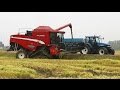 Laverda M306 mietitura riso / rice harvest 17/10/2015